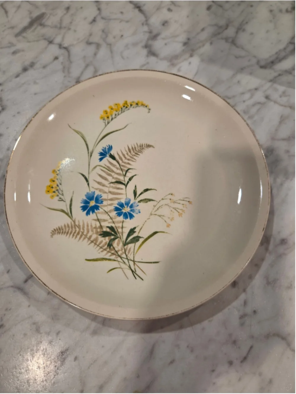 Paden City Pottery Floral Dinner Plate One Size Beige Blue